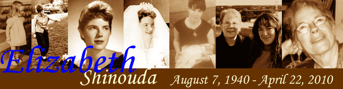 Sepia Banner
